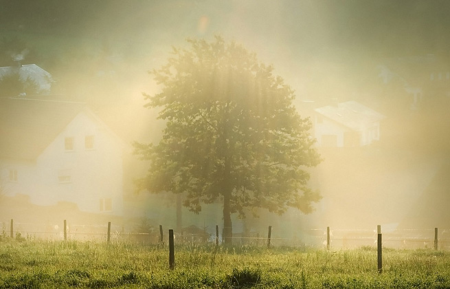 哪买不会被坑的短信验证码轰炸平台