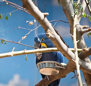 自动处理高效的短信验证码轰炸平台